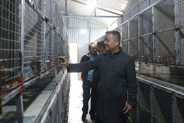 Trại chồn hương