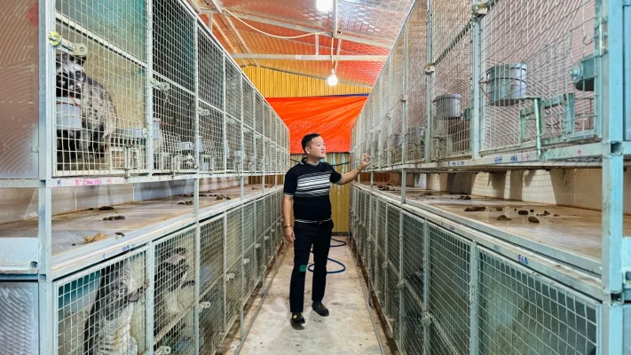 kỹ thuật thiết kế chuồng trại